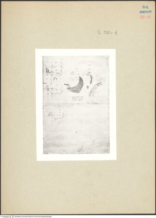 Vorderseite von bh266830_recto