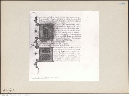 Vorderseite von bh266931_recto