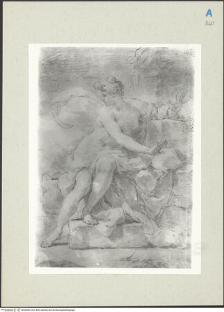 Vorderseite von bh266984_recto