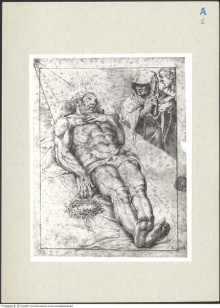 Vorderseite von bh266997_recto