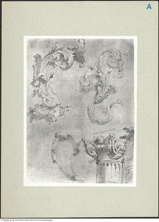 Vorderseite von bh267004_recto