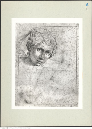 Vorderseite von bh267019_recto