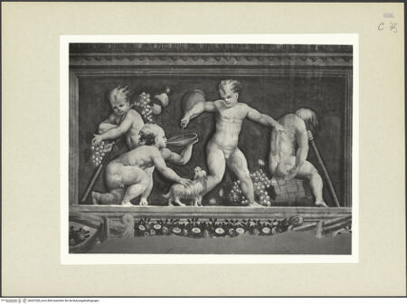 Vorderseite von bh267028_recto