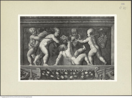 Vorderseite von bh267029_recto