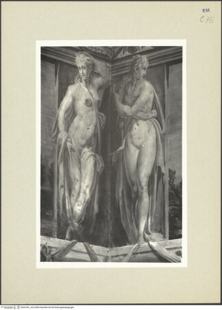 Vorderseite von bh267031_recto