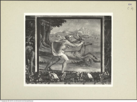 Vorderseite von bh267041_recto