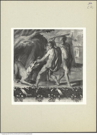 Vorderseite von bh267042_recto