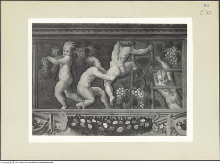 Vorderseite von bh267049_recto