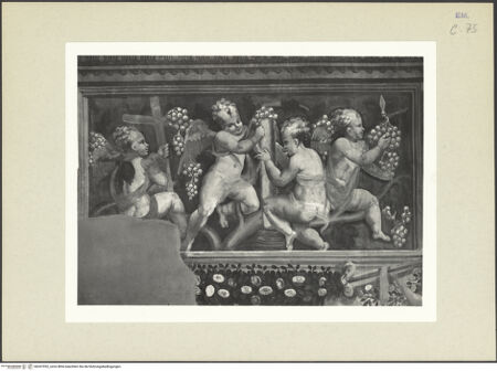 Vorderseite von bh267052_recto