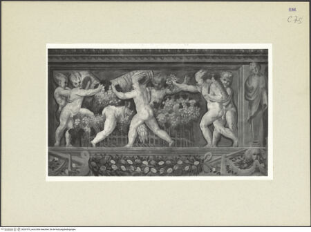 Vorderseite von bh267076_recto