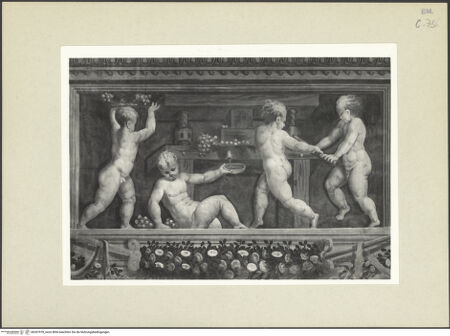 Vorderseite von bh267078_recto