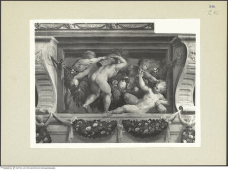 Vorderseite von bh267082_recto