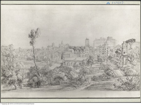 Vorderseite von bh267231_recto