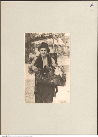 Vorderseite von bh267247_recto