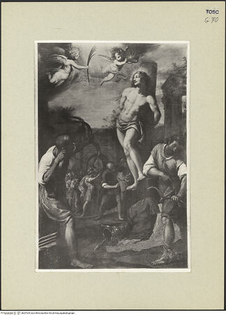 Vorderseite von bh267264_recto