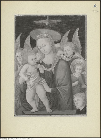 Vorderseite von bh267273_recto