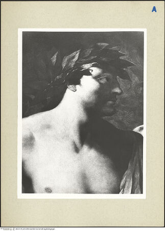 Vorderseite von bh267279_recto