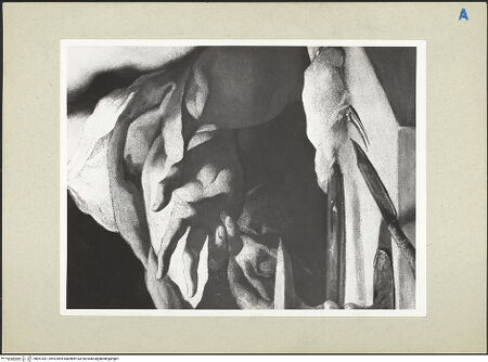 Vorderseite von bh267281_recto