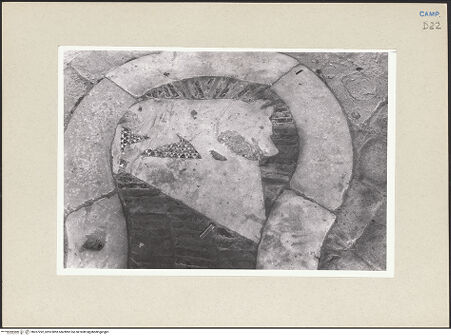 Vorderseite von Pace, Valentino [https://www.deutsche-digitale-bibliothek.de/content/lizenzen/rv-ez/] Tierfigur (Wolf oder Hund?) mit cosmateskem Mosaikfragement - Fußboden, Detail, bh267292_recto. Foto: Pace, Valentino.