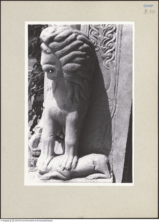 Vorderseite von Pace, Valentino [https://www.deutsche-digitale-bibliothek.de/content/lizenzen/rv-ez/] PortalLöwen - Linker Löwe, bh267293_recto. Foto: Pace, Valentino.