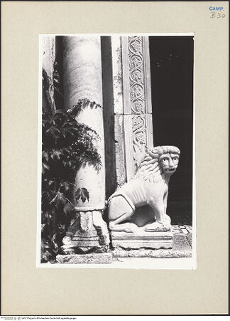 Vorderseite von Pace, Valentino [https://www.deutsche-digitale-bibliothek.de/content/lizenzen/rv-ez/] PortalLöwen - Linker Löwe, bh267294_recto. Foto: Pace, Valentino.