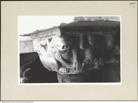 Vorderseite von Pace, Valentino [https://www.deutsche-digitale-bibliothek.de/content/lizenzen/rv-fz/] KapitelleKapitell 3 - Nr. 3, Nordostseite: Säulenpaar und Kapitelle (2. v. l.), Detail: Kapitell mit Löwen, bh267296_recto. Foto: Pace, Valentino.