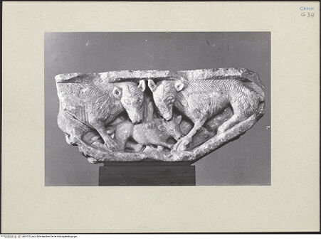 Vorderseite von bh267313_recto