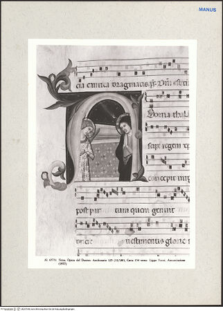 Vorderseite von bh267358_recto