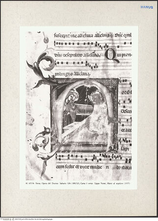 Vorderseite von bh267362_recto