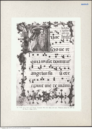 Vorderseite von bh267377_recto