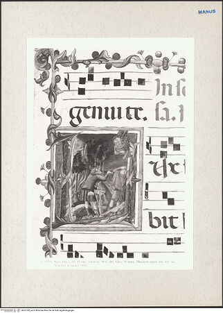 Vorderseite von bh267382_recto