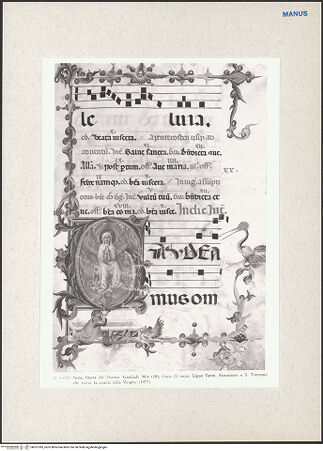 Vorderseite von bh267385_recto