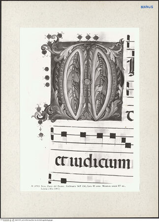 Vorderseite von bh267391_recto