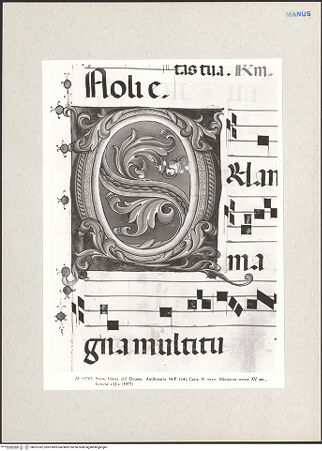 Vorderseite von bh267392_recto