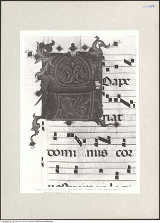 Vorderseite von bh267402_recto