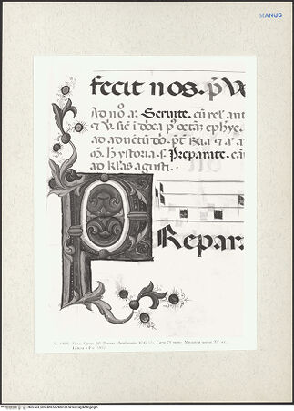 Vorderseite von bh267403_recto