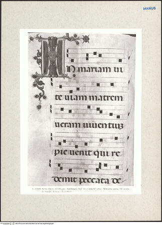 Vorderseite von bh267405_recto