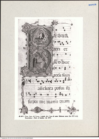 Vorderseite von bh267407_recto