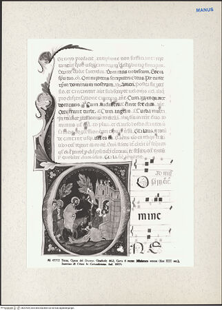 Vorderseite von bh267409_recto