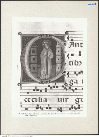 Vorderseite von bh267423_recto