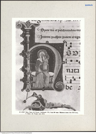 Vorderseite von bh267430_recto