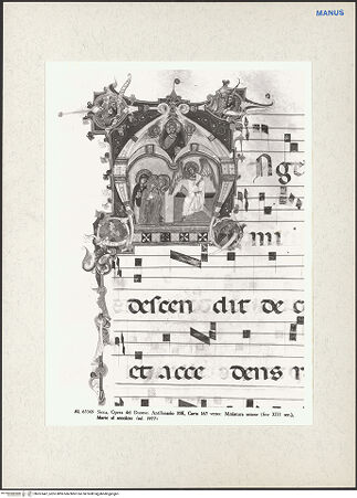 Vorderseite von bh267447_recto