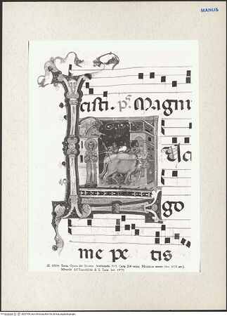 Vorderseite von bh267456_recto