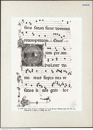 Vorderseite von bh267458_recto