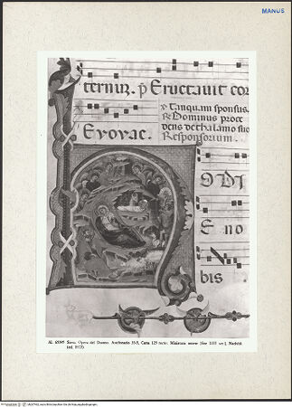 Vorderseite von bh267462_recto