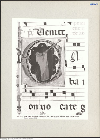 Vorderseite von bh267464_recto