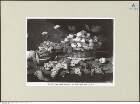 Vorderseite von bh267482_recto