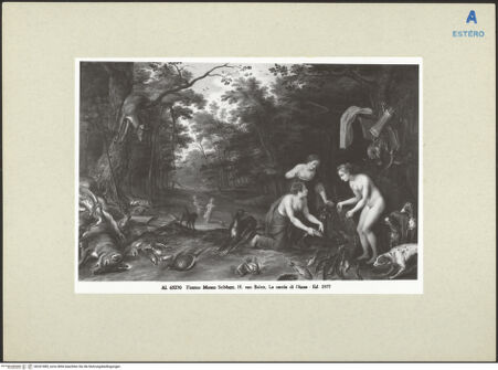 Vorderseite von bh267485_recto