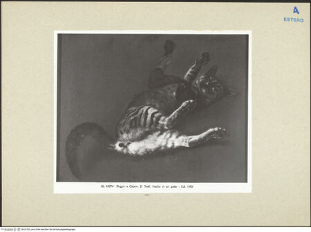 Vorderseite von bh267503_recto