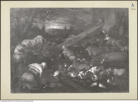 Vorderseite von bh267627_recto